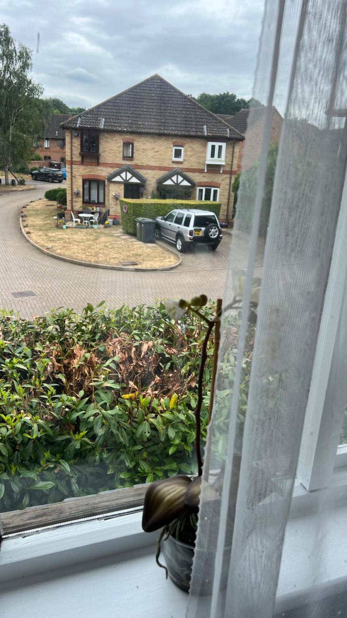 Beautiful Apartment In Guildford With Parking Send Exterior photo